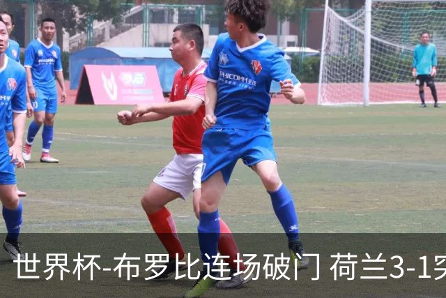世界杯-布罗比连场破门 荷兰3-1突尼斯获小组头名将战摩洛哥